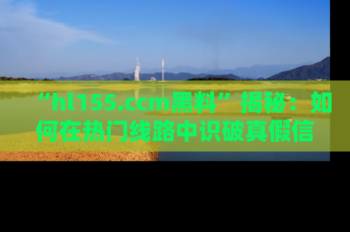“hl155.ccm黑料”揭秘：如何在热门线路中识破真假信息