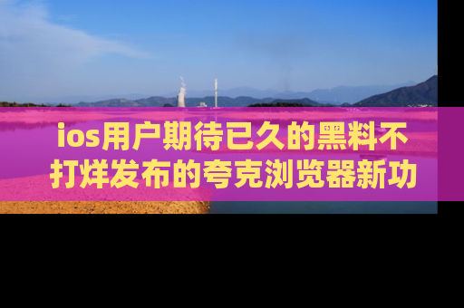 ios用户期待已久的黑料不打烊发布的夸克浏览器新功能上线啦！