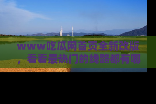 www吃瓜网首页全新改版，看看最热门的线路都有哪些！