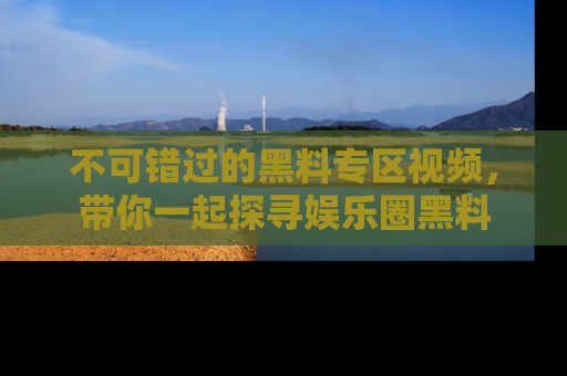 不可错过的黑料专区视频，带你一起探寻娱乐圈黑料