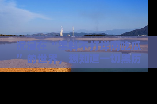 沉浸在“黑料不打烊网吃瓜”的世界，想知道一切黑历史与内幕信息的网站！