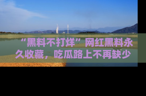 “黑料不打烊”网红黑料永久收藏，吃瓜路上不再缺少惊喜与乐趣