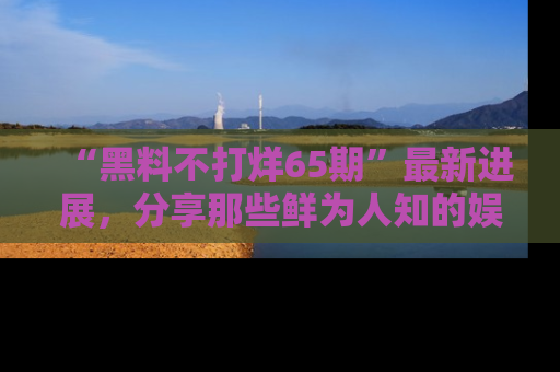 “黑料不打烊65期”最新进展，分享那些鲜为人知的娱乐八卦