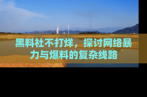 黑料社不打烊，探讨网络暴力与爆料的复杂线路