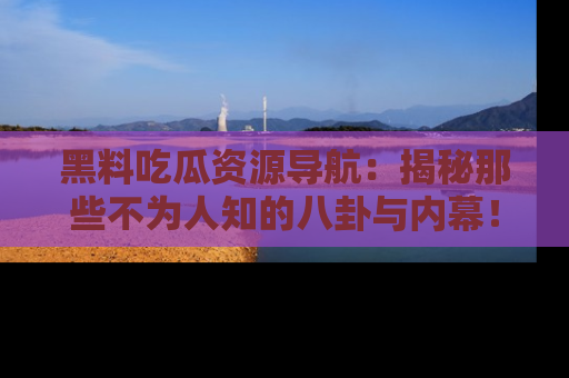 黑料吃瓜资源导航：揭秘那些不为人知的八卦与内幕！
