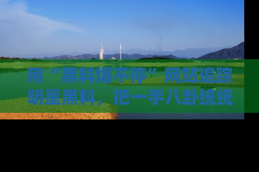 用“黑料爆不停”网站追踪明星黑料，把一手八卦统统收进你的后宫中！