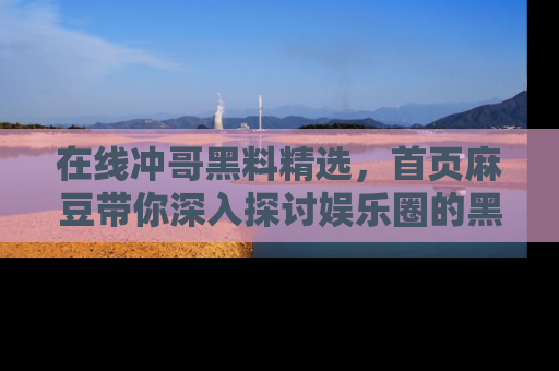 在线冲哥黑料精选,首页麻豆带你深入探讨娱乐圈的黑暗面