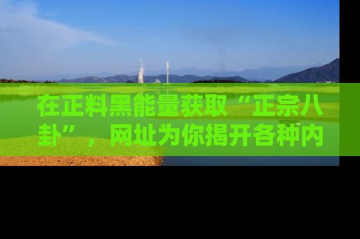 在正料黑能量获取“正宗八卦”，网址为你揭开各种内幕故事！