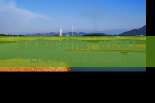 直达黑料不打烊，吃瓜网入口每天带来新鲜爆料！