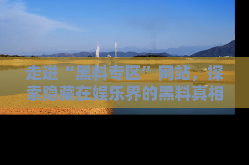 走进“黑料专区”网站，探索隐藏在娱乐界的黑料真相