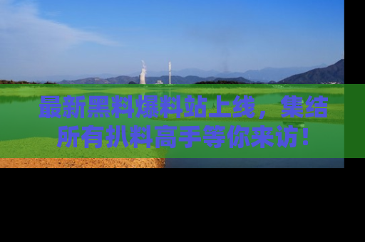 最新黑料爆料站上线，集结所有扒料高手等你来访！